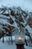 3.12.2023 - Adventn koncert a rozsvcen Vnonho stromeku