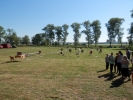 27.8.2016 - Brodeck brkln 2016